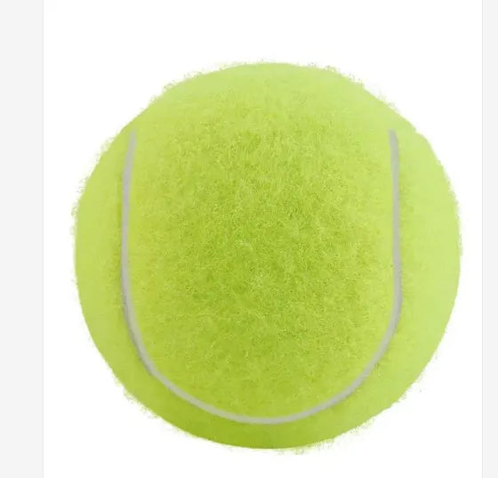 Assorted bright pink, blue, green, yellow, orange, and red rubber dog tennis balls, 6.3cm in diameter.