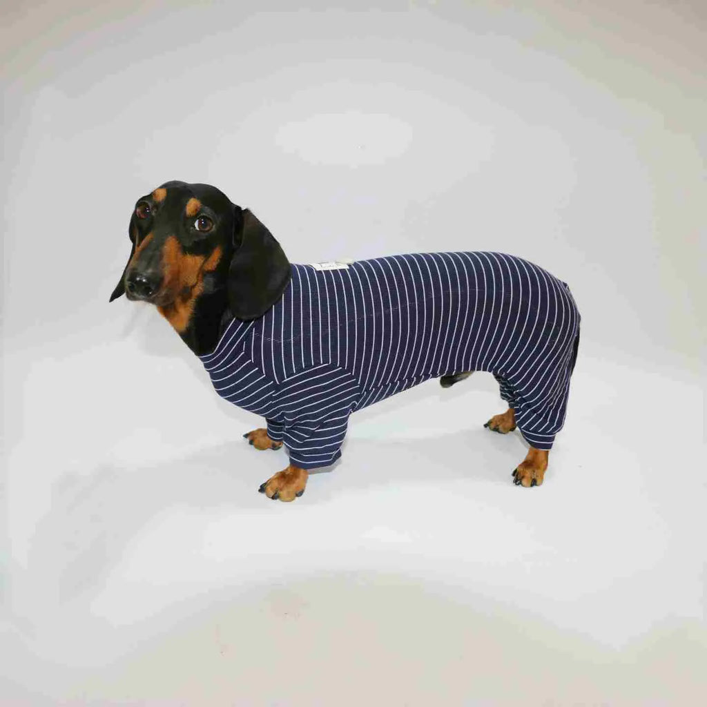 Thin striped four-legged pet clothes for dogs and cats, S to 2XL, black white or navy blue
