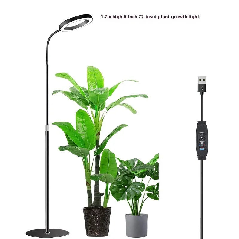 A tall, silver 6-inch ring floor light on a retractable stand next to indoor houseplants.