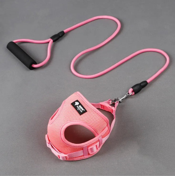Blue dog leash with foam handle and mesh collar next to a 120cm towing rope