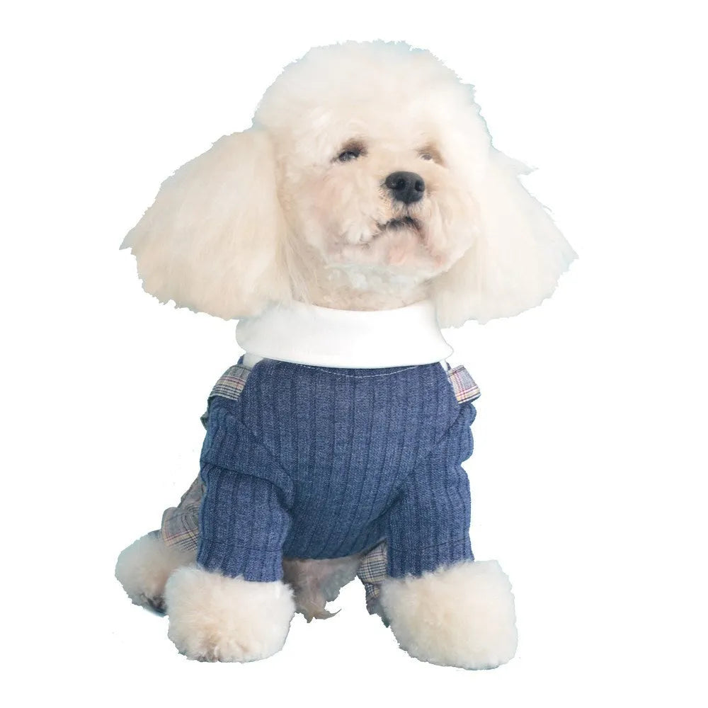 Orange and dark blue cotton dog shirt for small dogs showing size options S to 2XL