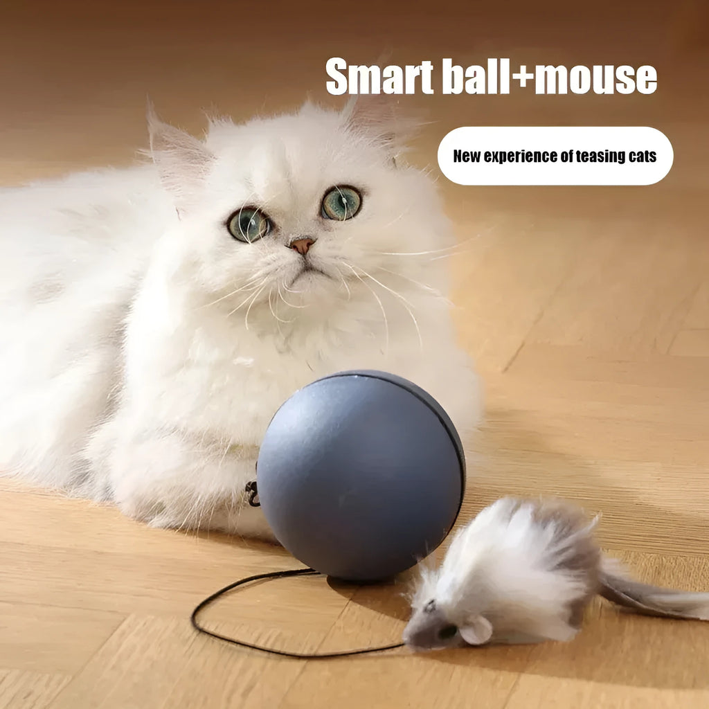 Automatic cat teasing ball toy with plush mouse attachment in blue orange colour