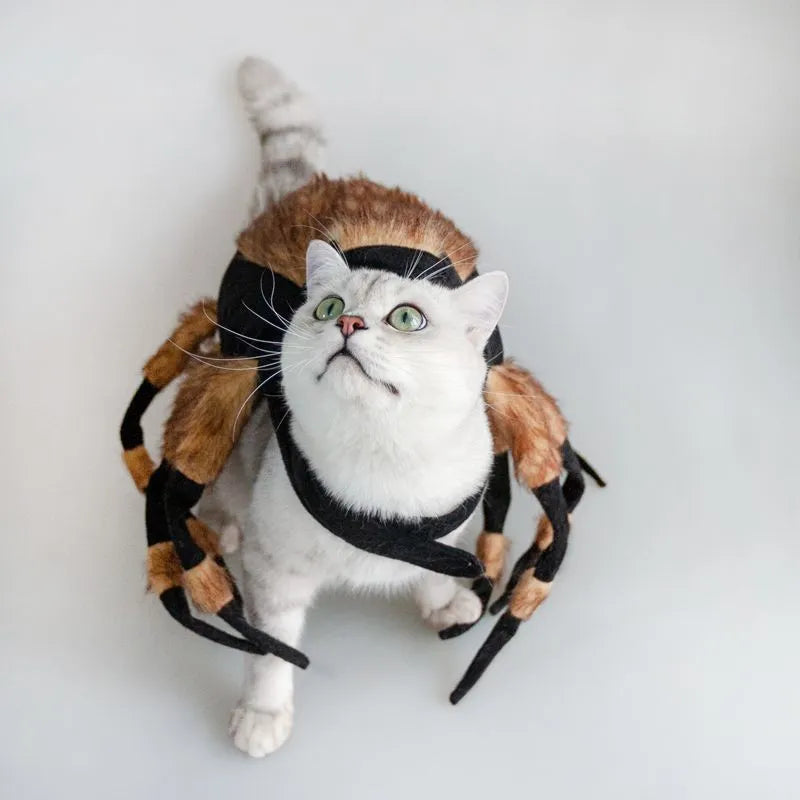Pet spider costume with 8 simulation spider legs and black long plush, for cats and puppies, sizes S and M