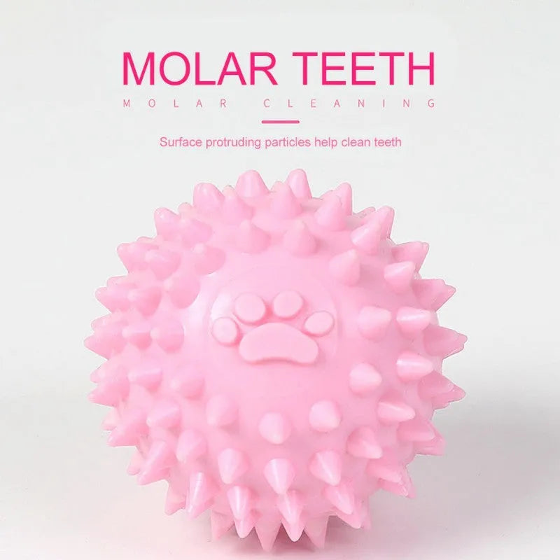 Blue TPR rubber dog chewing toy with textured surface for dental hygiene, 6cm diameter footprint ball