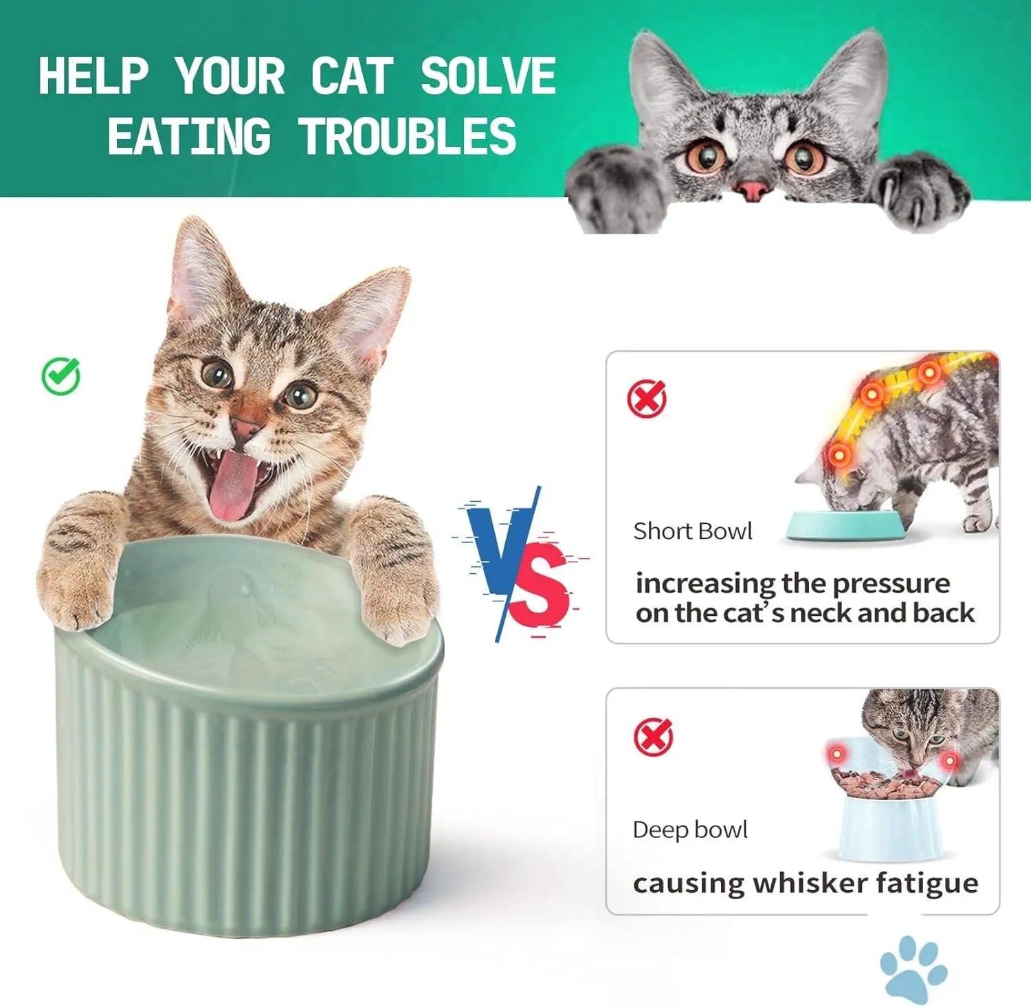 Ceramic elevated cat bowl in green colour, showing tilted design and raised feeding height.