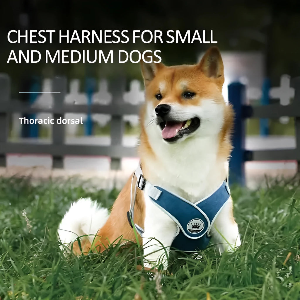 Adjustable dog harness in breathable mesh with reflective chest strap and metal control ring