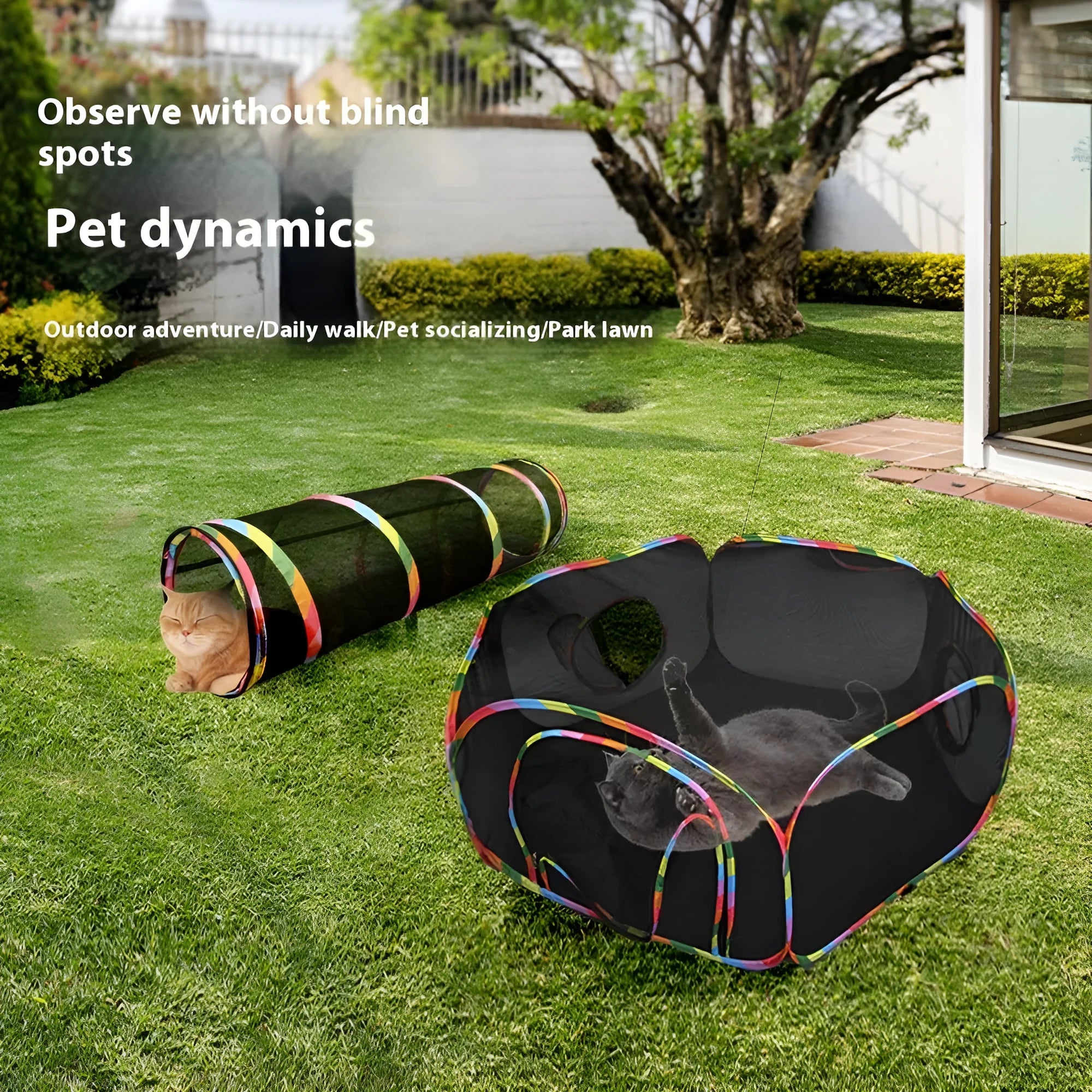 Foldable mesh cat roll cage pet toy in one of five geometric shapes: hexagonal, long straight, square, tee, or tent.