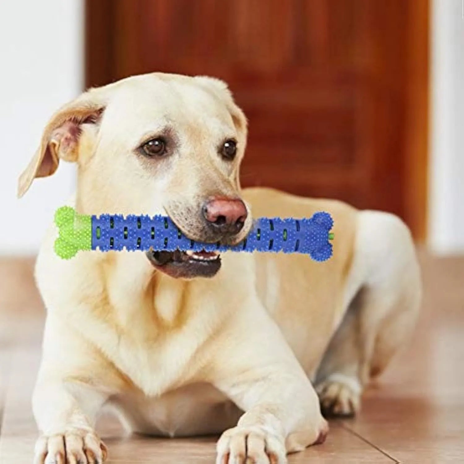 Blue-green silicone dog dental chew stick with textured cleaning surface, 25cm long.