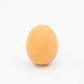 Orange rubber egg-shaped dog chew toy with crinkly sound for small medium breeds