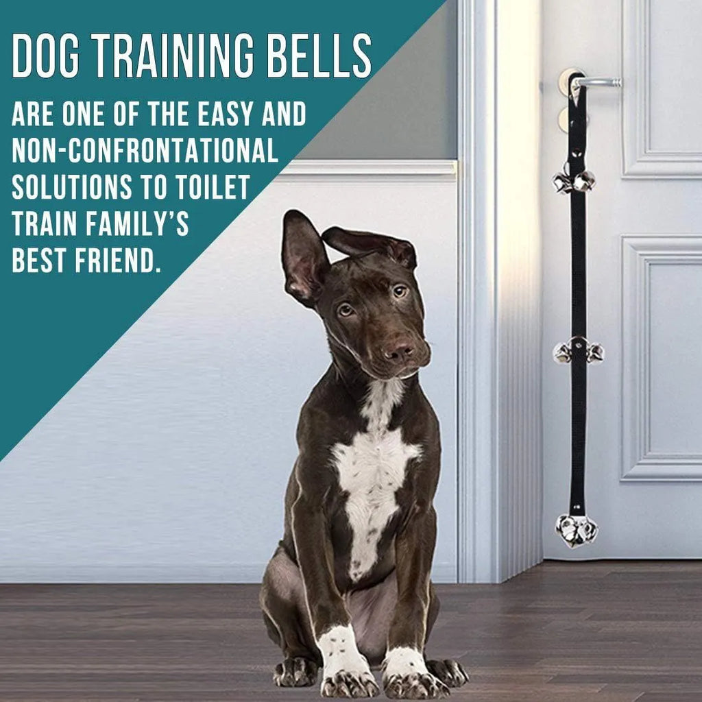 Adjustable dog training doorbell with silver metal bells on nylon strap for potty training
