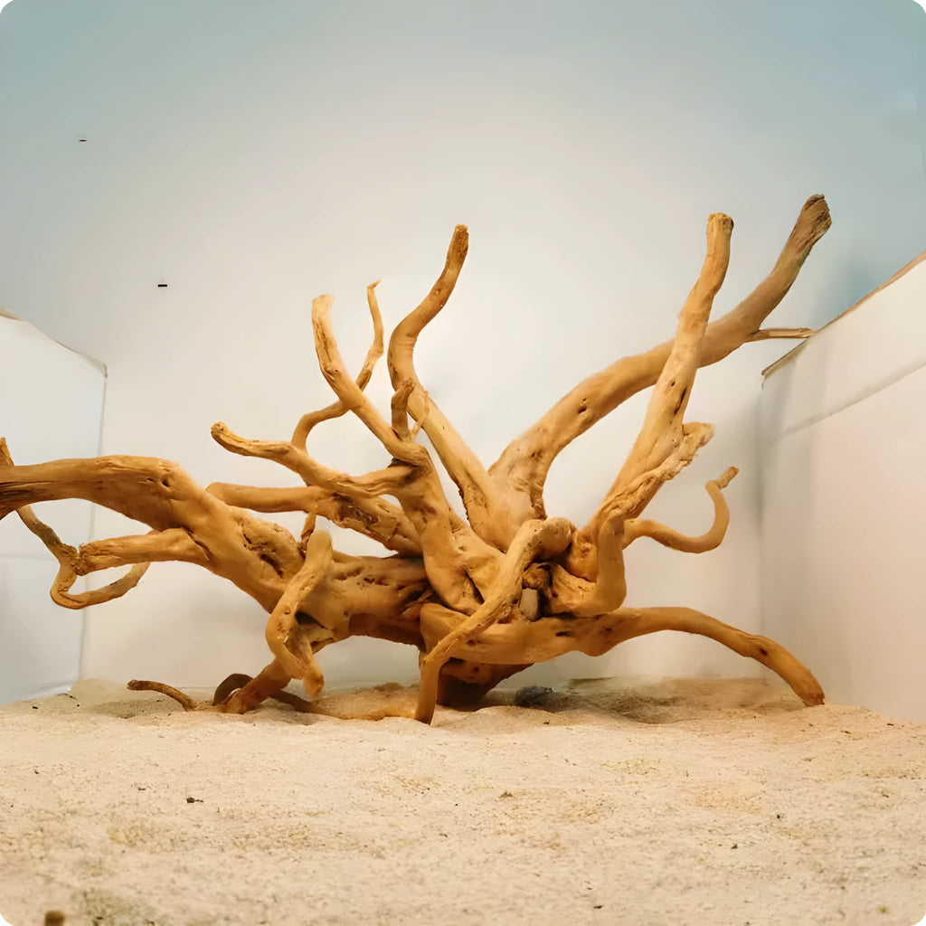 Natural Xiaoqi root wood aquarium decoration on white background showing twisted, branch-like structure.