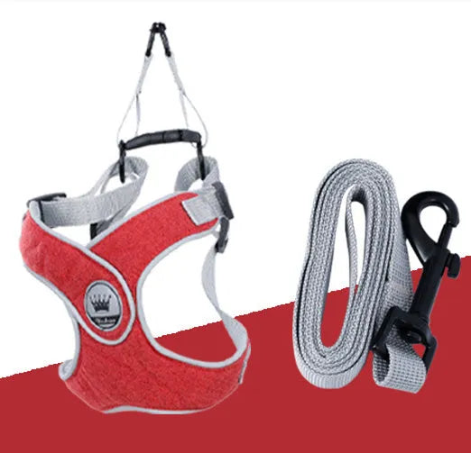Adjustable dog harness in breathable mesh with reflective chest strap and metal control ring