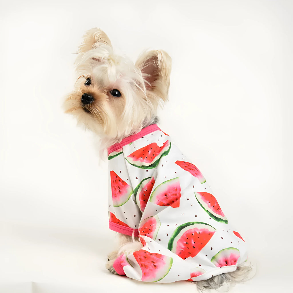 Watermelon red four-leg dog jumpsuit with watermelon print in polyester, shown as pet clothing