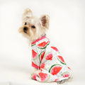 Watermelon red four-leg dog jumpsuit with watermelon print in polyester, shown as pet clothing