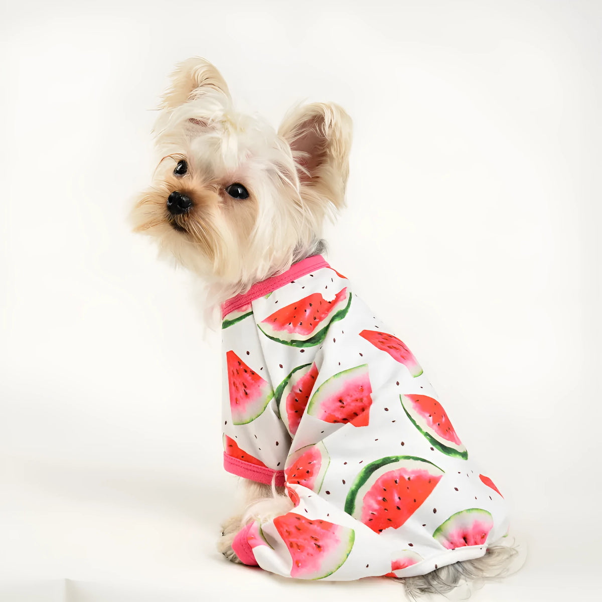 Watermelon red four-leg dog jumpsuit with watermelon print in polyester, shown as pet clothing
