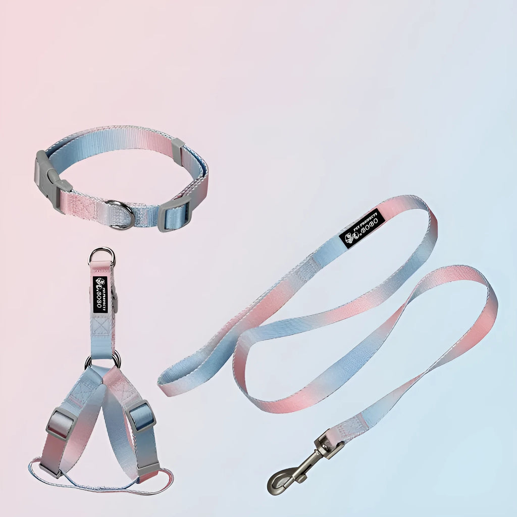 Nylon dog leash and collar set showing gradient colour pattern in pink and blue