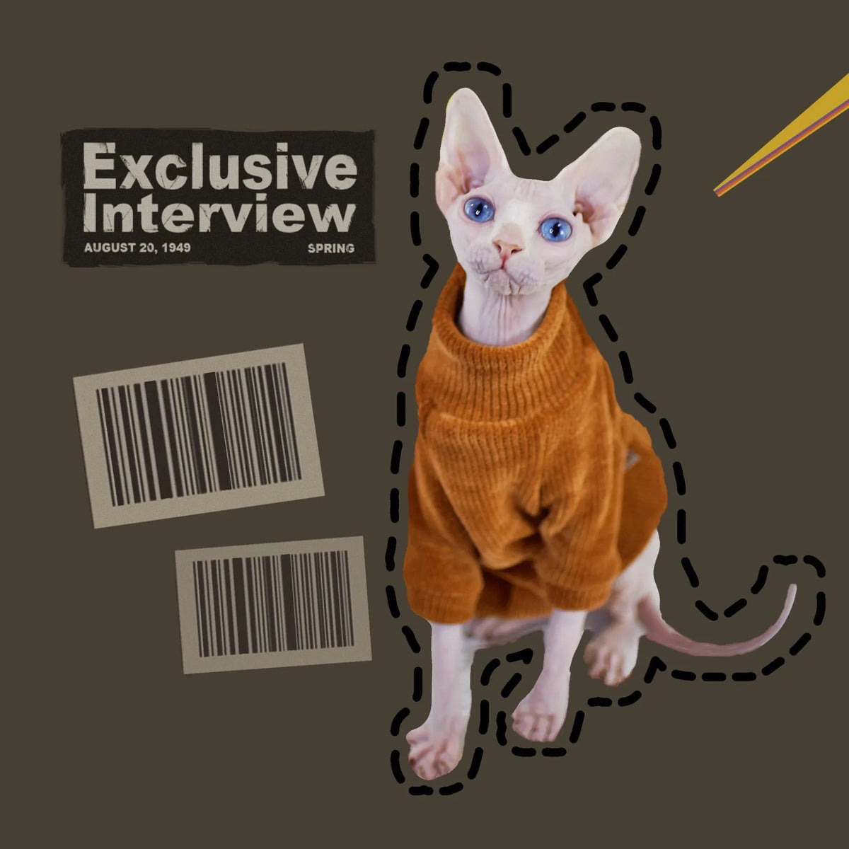Caramel brown chenille hairless cat jumper, thickened for winter, unisex, sizes XS to XXL.