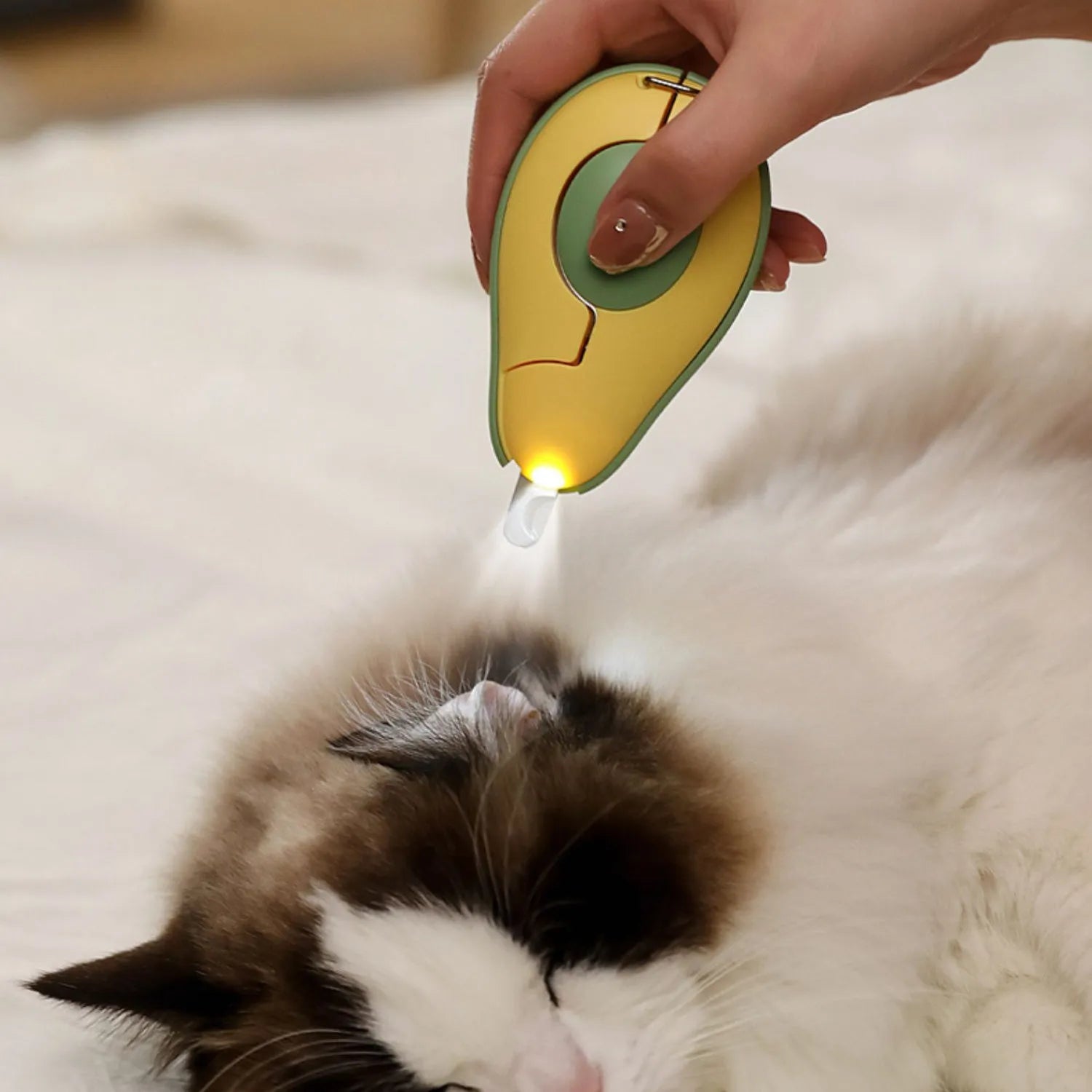 Professional pet nail clipper with LED light for small dogs and cats in three colour options