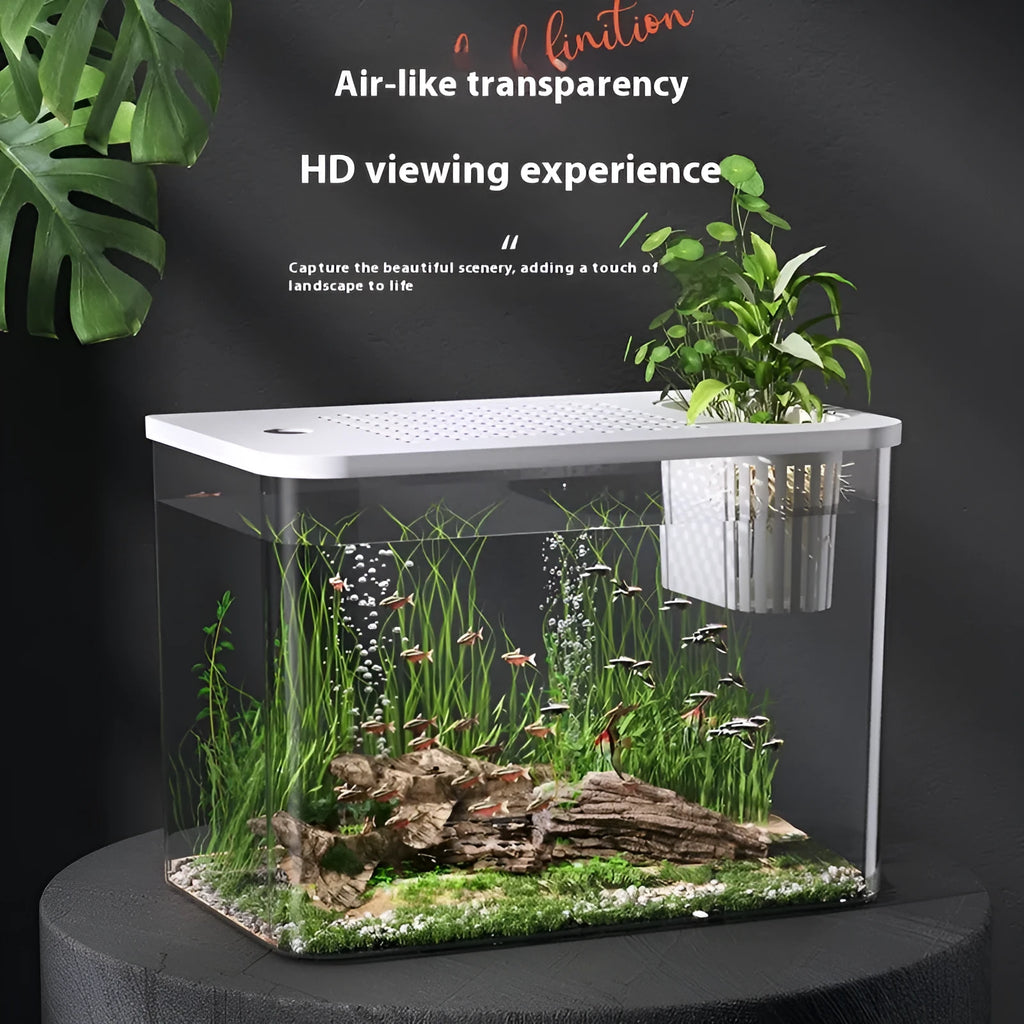 Medium black plastic betta fish tank with a cover on a wooden surface.
