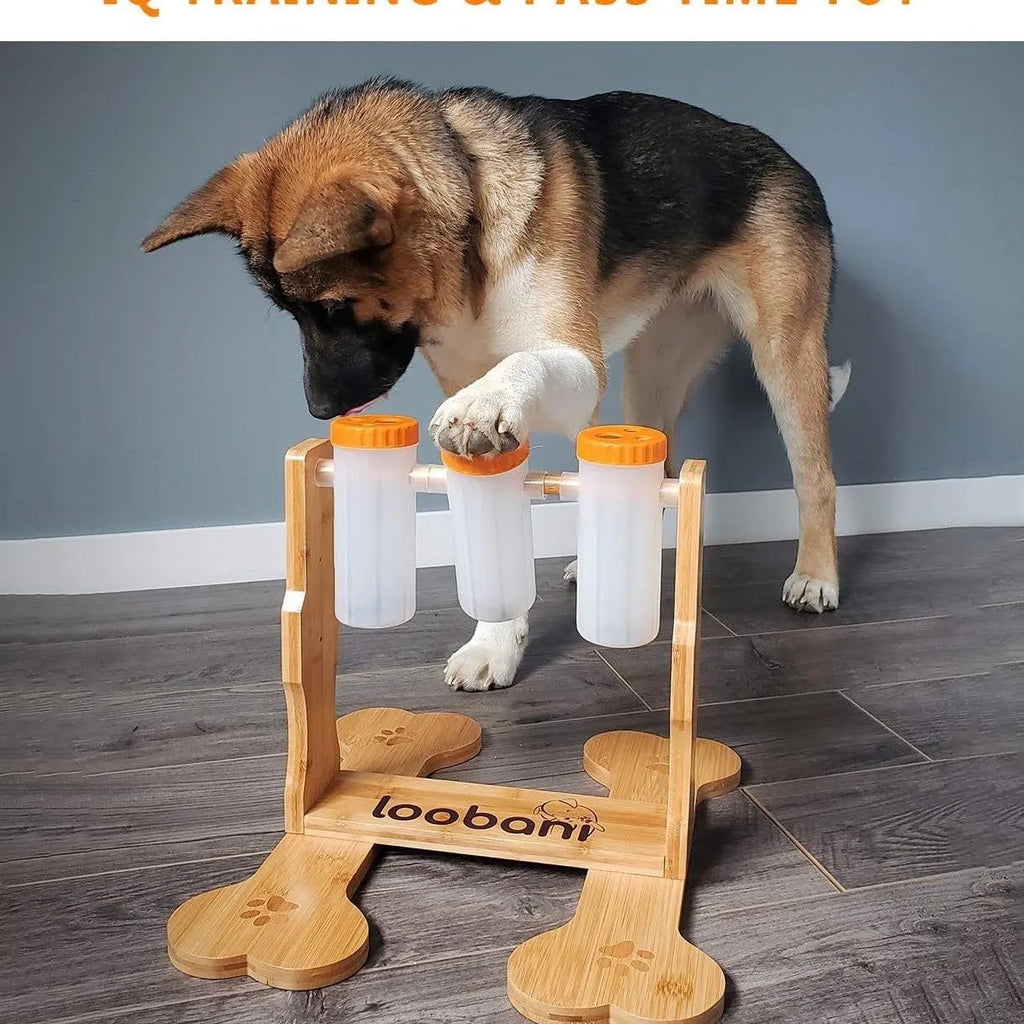 Wooden dog puzzle toy interactive feeder measuring 31x30x20cm in natural wood colour