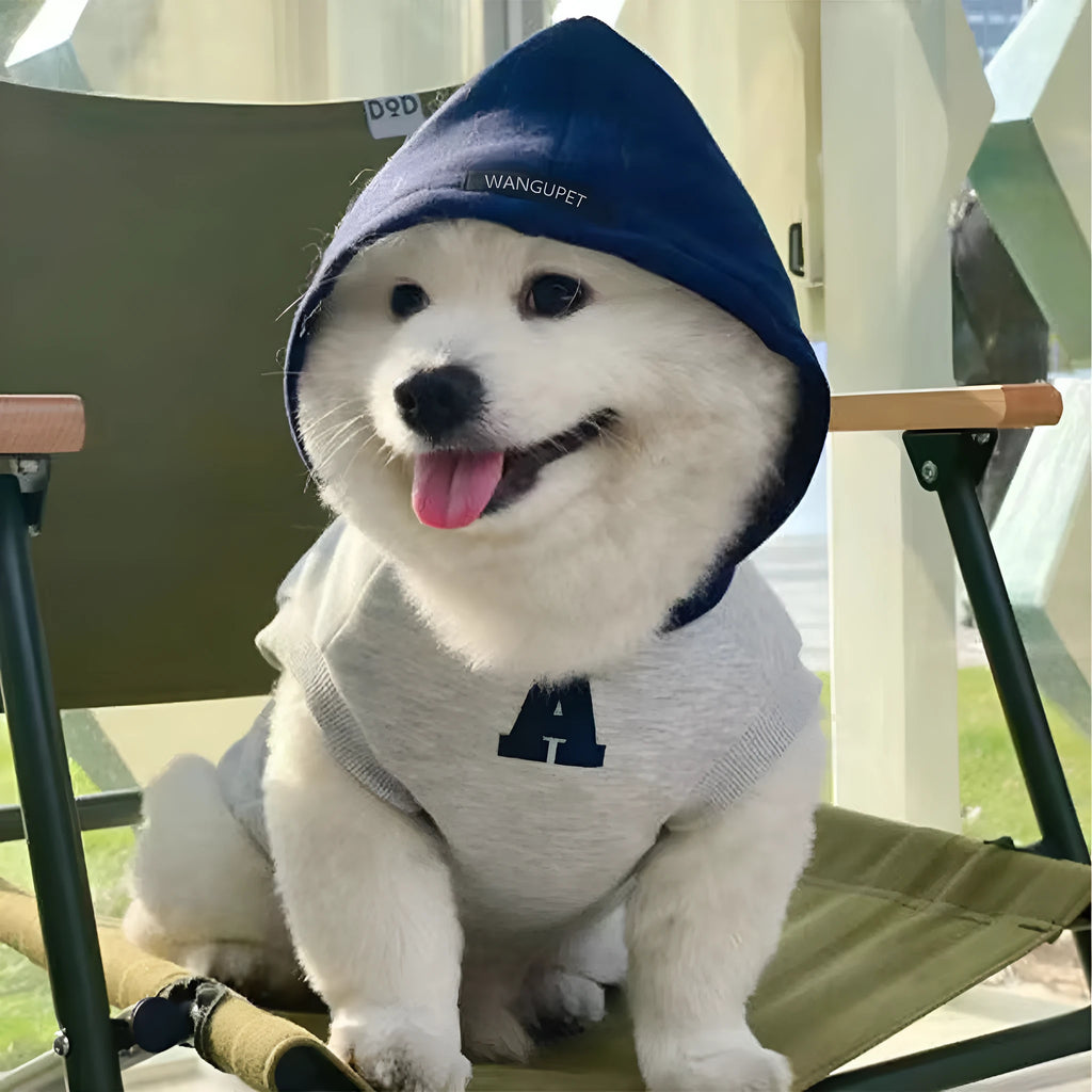 Blue and white reflective letter slim-fitting pet hoodie for dogs and cats