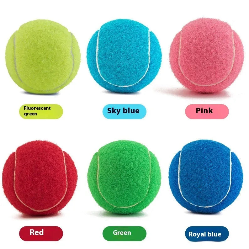 Assorted bright pink, blue, green, yellow, orange, and red rubber dog tennis balls, 6.3cm in diameter.