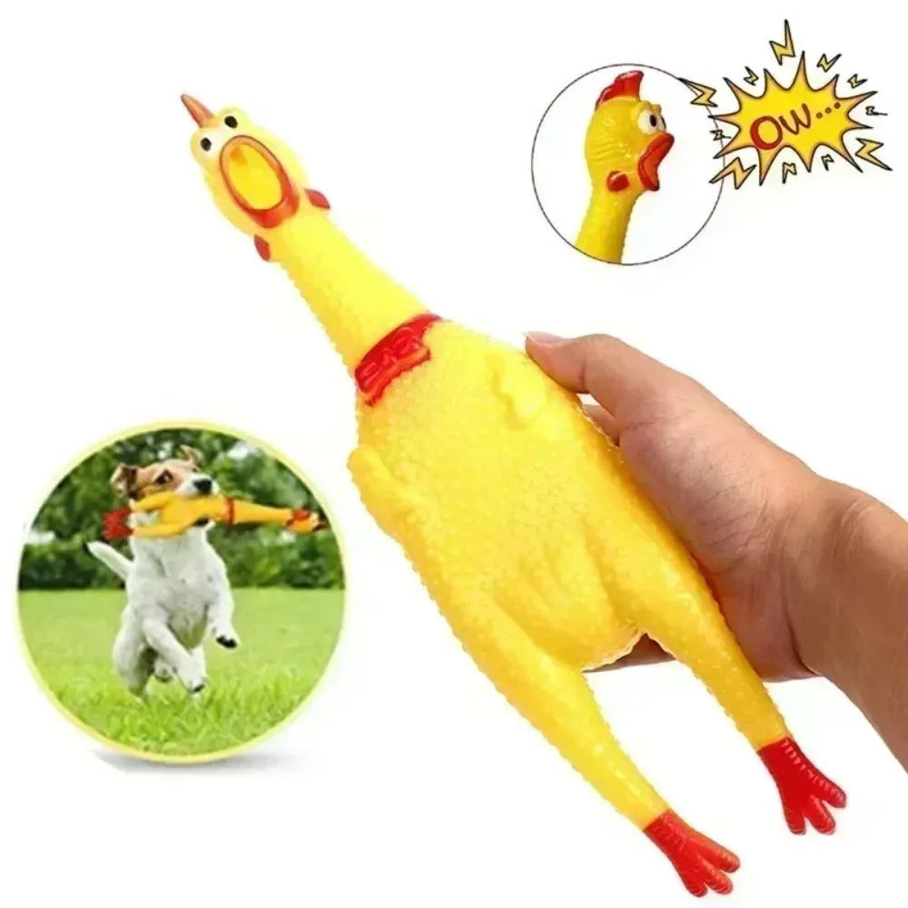 Yellow rubber screaming chicken dog squeak toy shown in three sizes: small, medium, and large