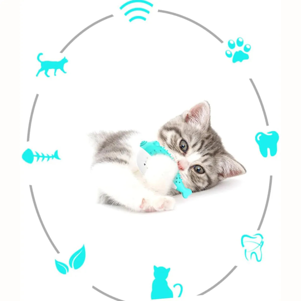 Mint Toys silicone fish-shaped cat chew toy in four colour options on white background