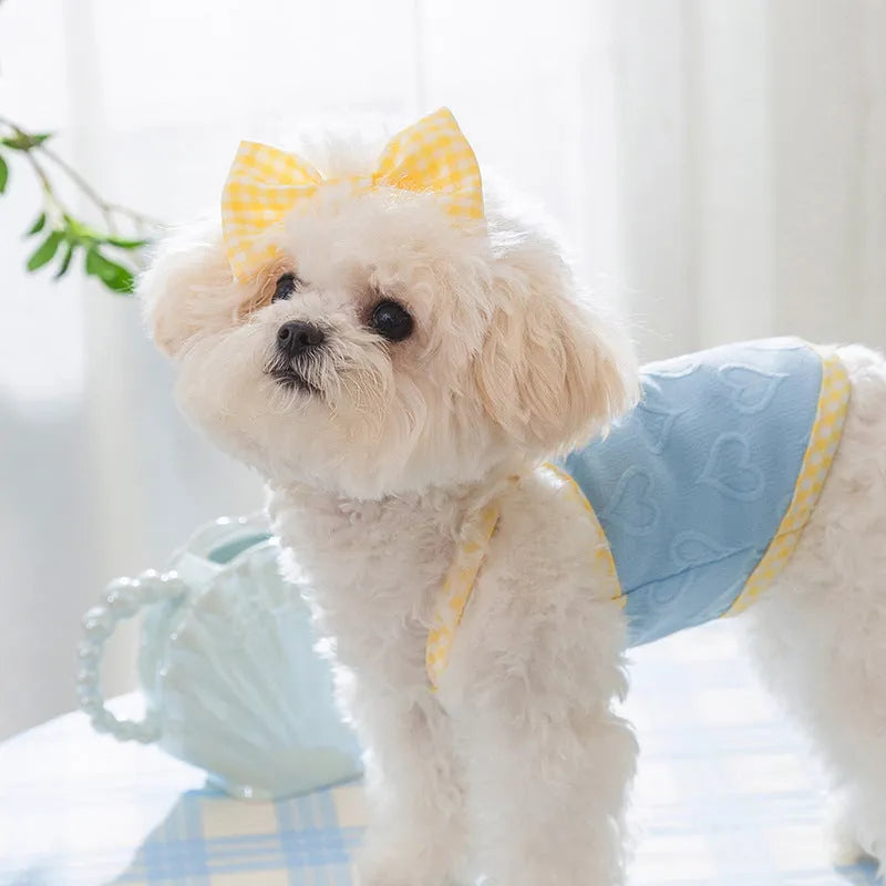 Small dog wearing heart relief texture bow suspenders vest in blue with matching hairband