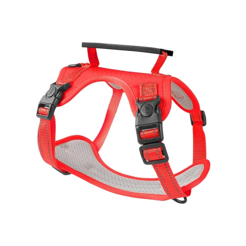 Adjustable dog harness and lead set in various colours with chest strap design