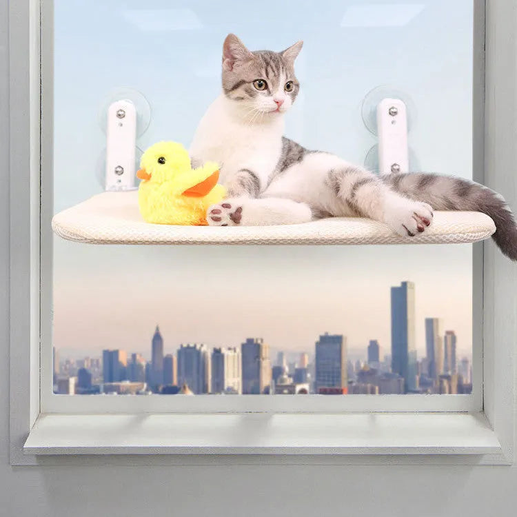 Stainless steel cat window seat cushion with suction cup mounting on glass