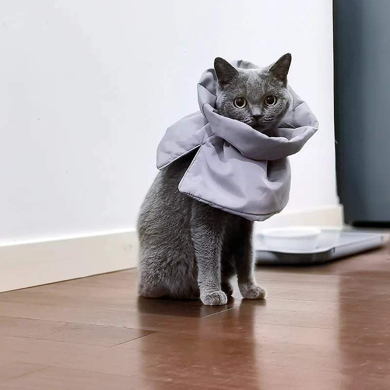 Soft light blue adjustable recovery collar for a cat on a grey background.