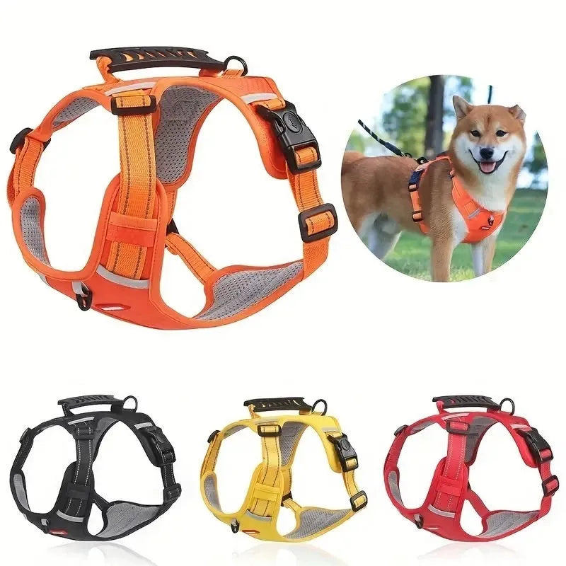 Adjustable dog harness and lead set in various colours with chest strap design