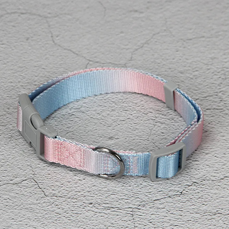 Nylon dog leash and collar set showing gradient colour pattern in pink and blue