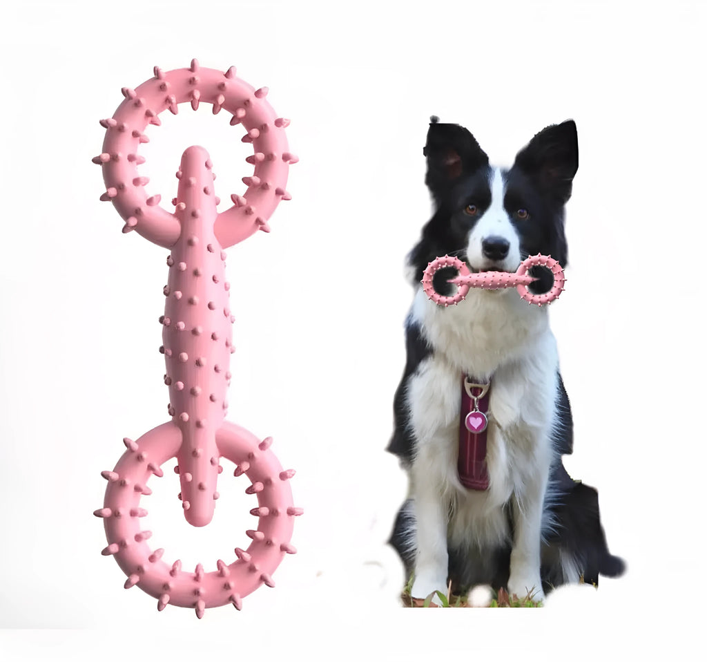 Blue TPR dog chew toy ring measuring 16cm by 5.8cm for puppy teething