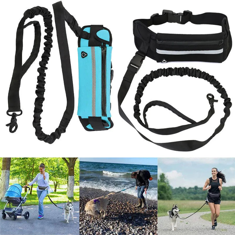 Nylon pet purse leash for dog walking with waist bag and traction rope, available in blue, black, red, orange and yellow.