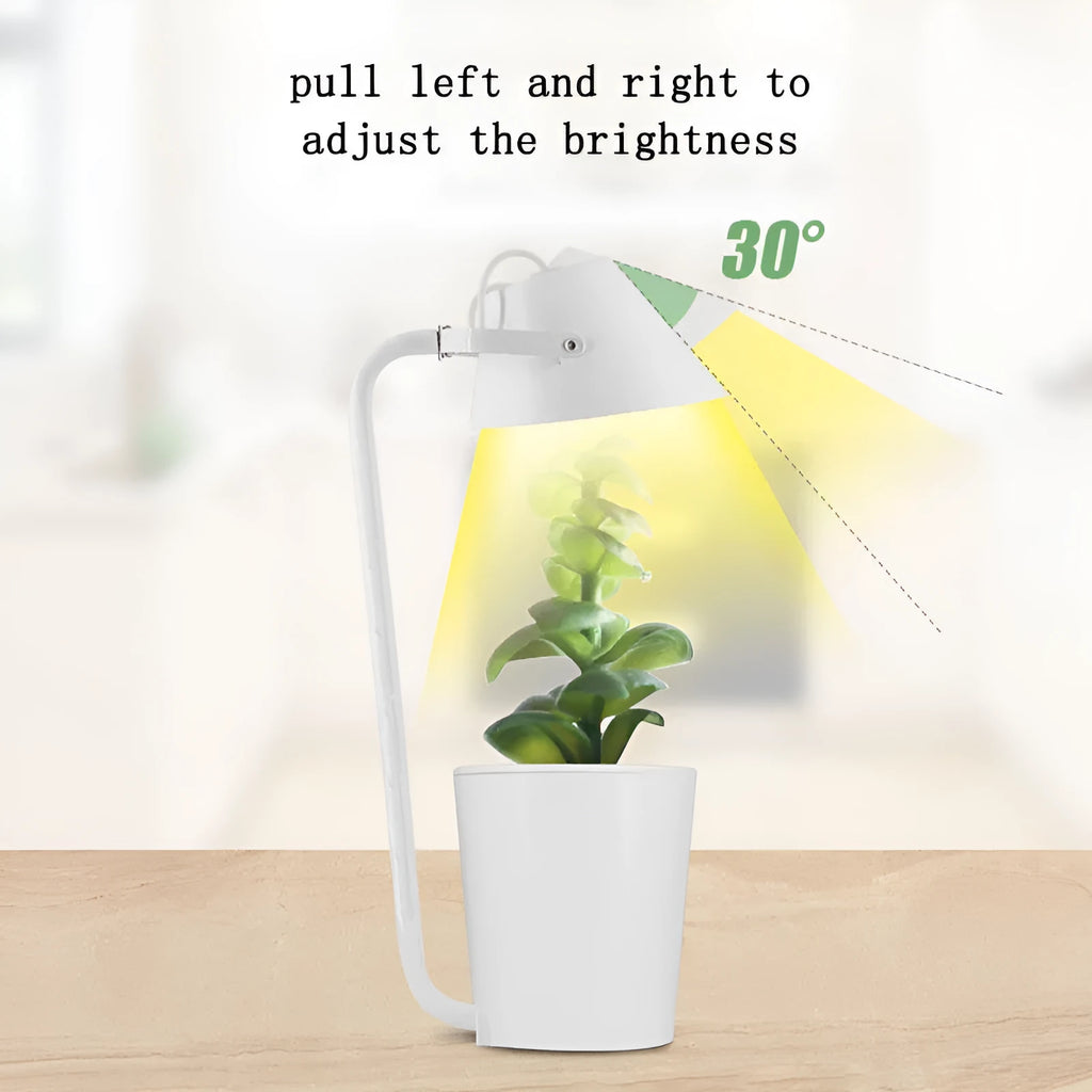 White plastic soilless cultivation plant growth machine hydroponic container on a desktop for office or home gardening