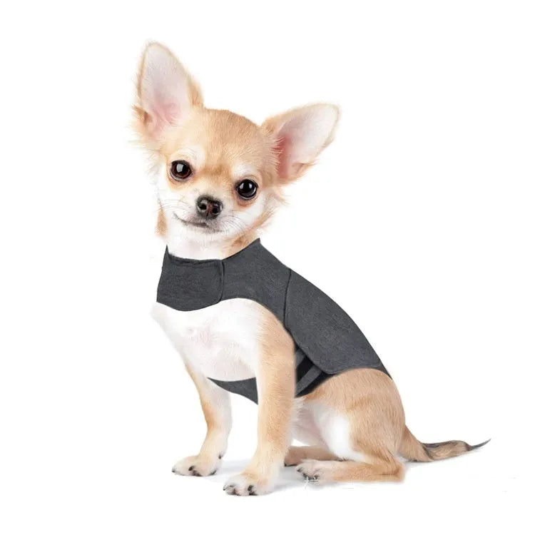 Heather grey dog anxiety vest jacket on a model, showing brocade cotton ponte-de-roma fabric and fit.