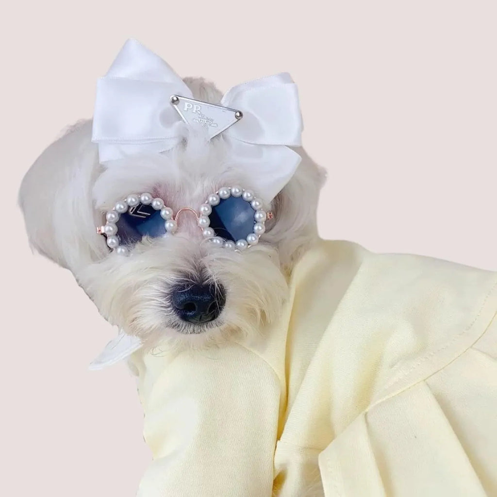 Pearl-rimmed round sunglasses for cats and dogs in multiple colours as costume accessories