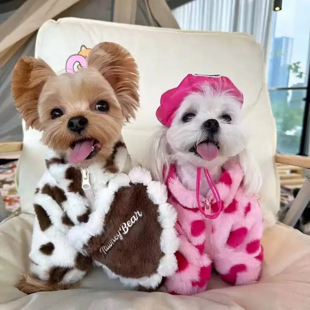 Pink polyester warm coat on small white dog showing British style design