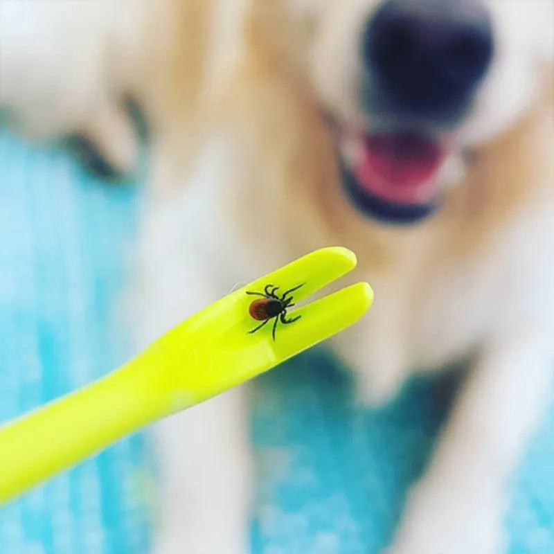 Set of three blue and green plastic pet tick removal clips on a white background.