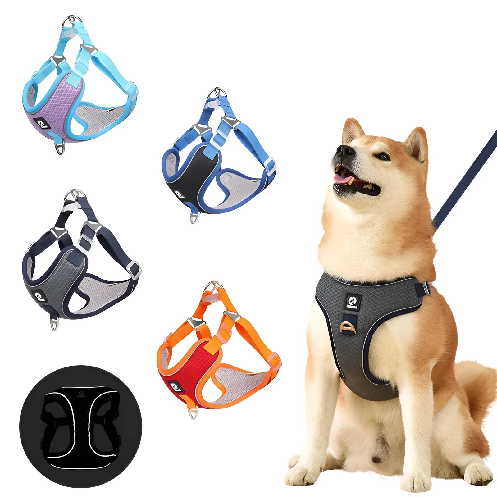 Adjustable breathable mesh dog harness with reflective piping in black, shown on a small dog.