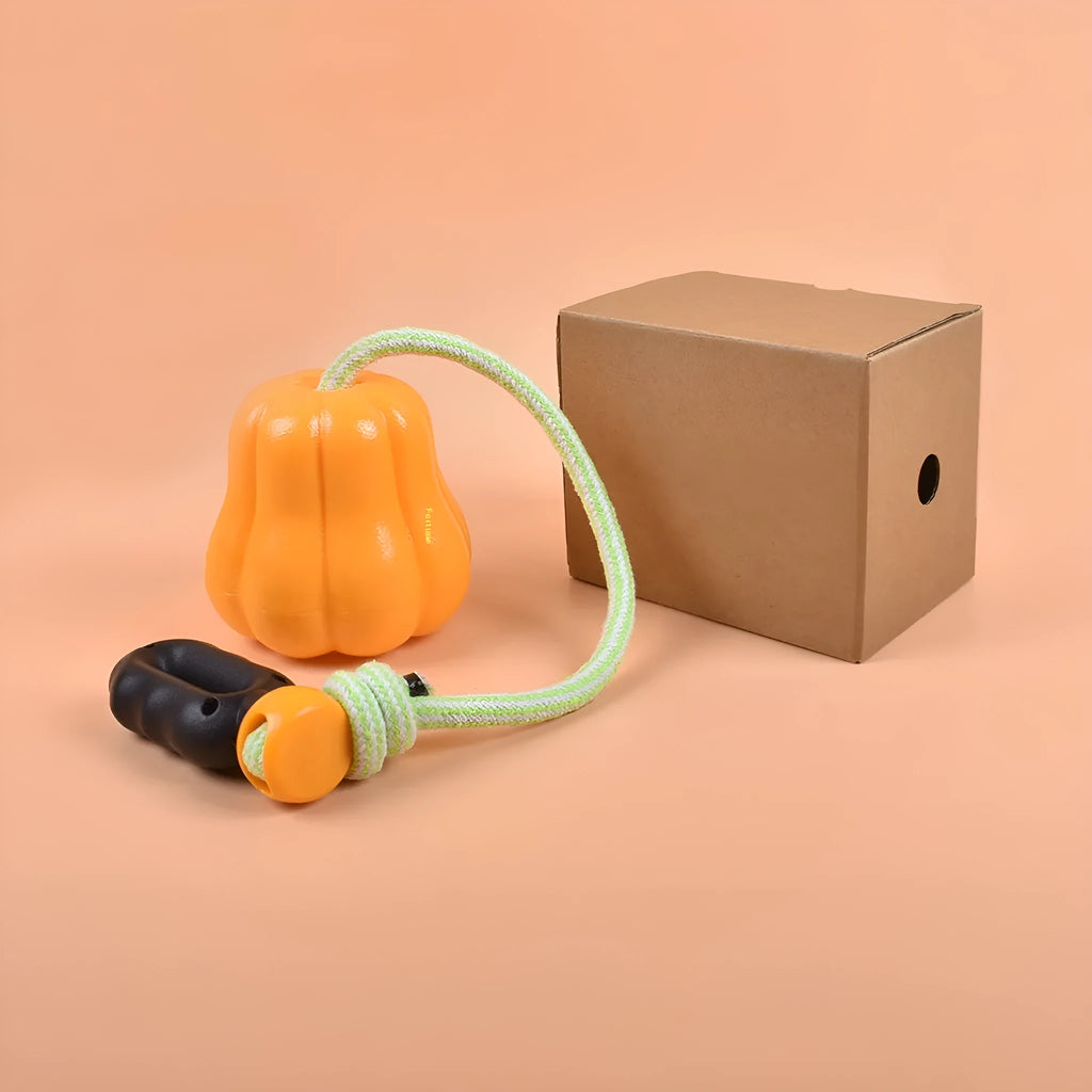 Orange pumpkin-shaped plastic dog chew toy with rope attachment for tug-of-war and fetch games