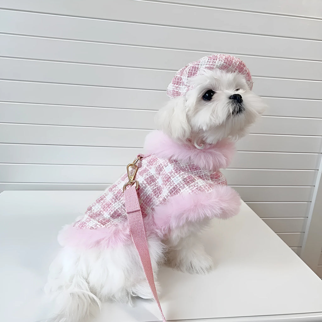 Pink polyester cat costume set with cape, beret, and hand-holding rope leash on feline model