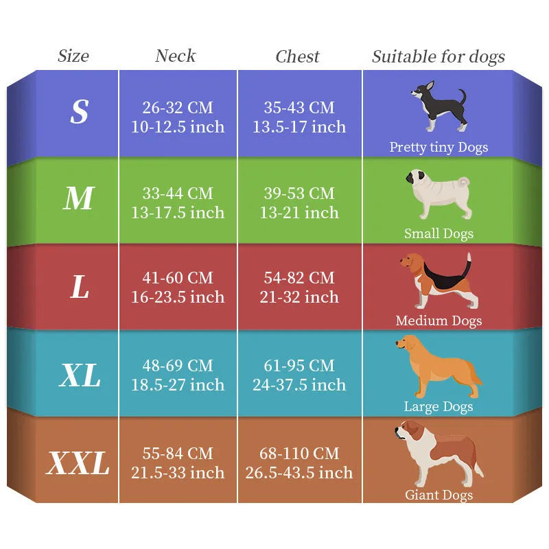 Seven-colour LED dog leash with nylon strap and charging cable in multiple size options