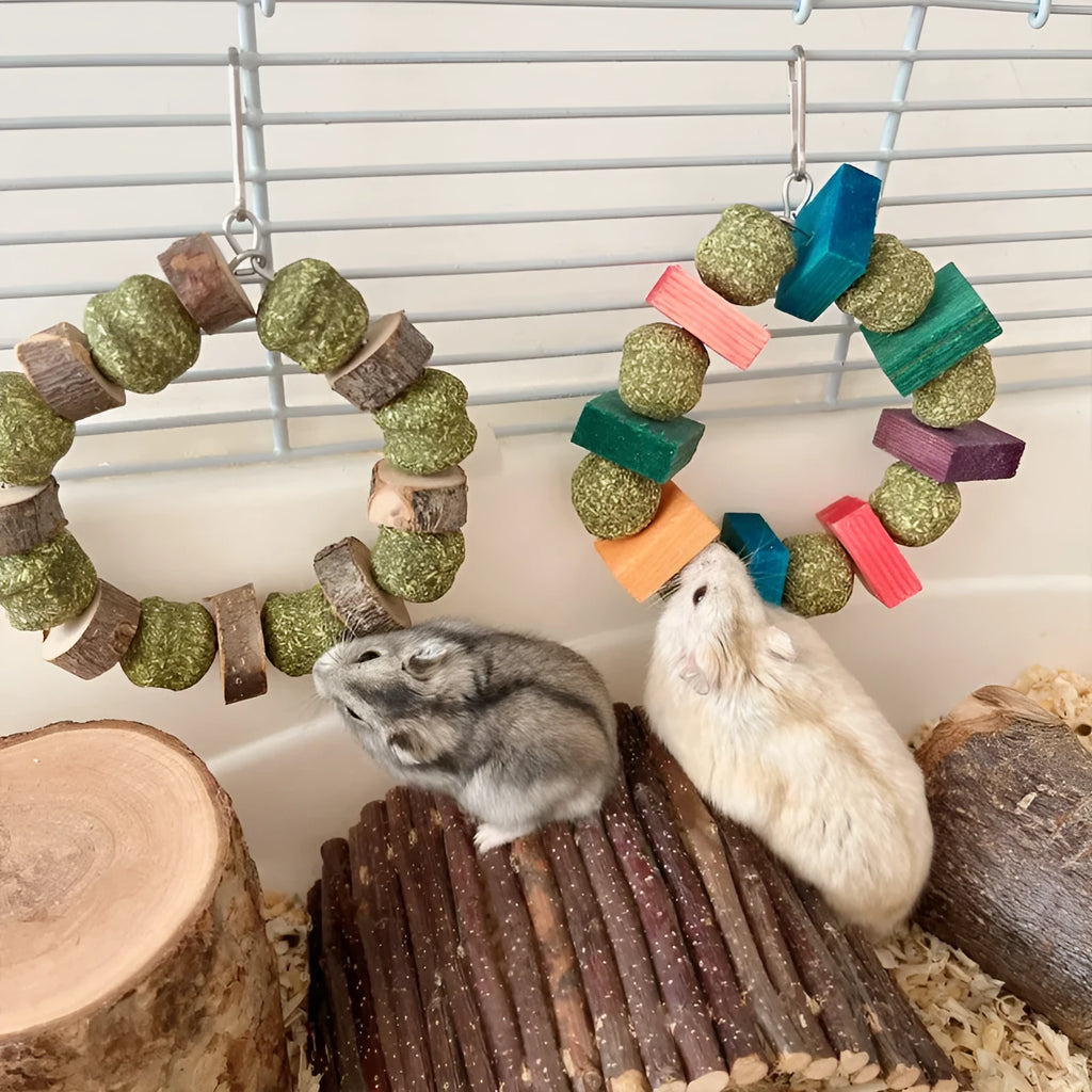 Hamster chew toy with Applewood rod and decorative straw ball ring for small animals