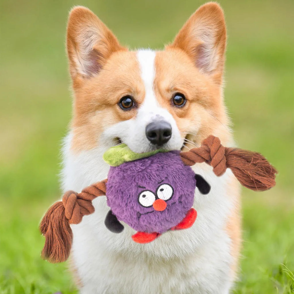 Green and purple interactive dog plush toy with integrated rope knot for tug-of-war games.