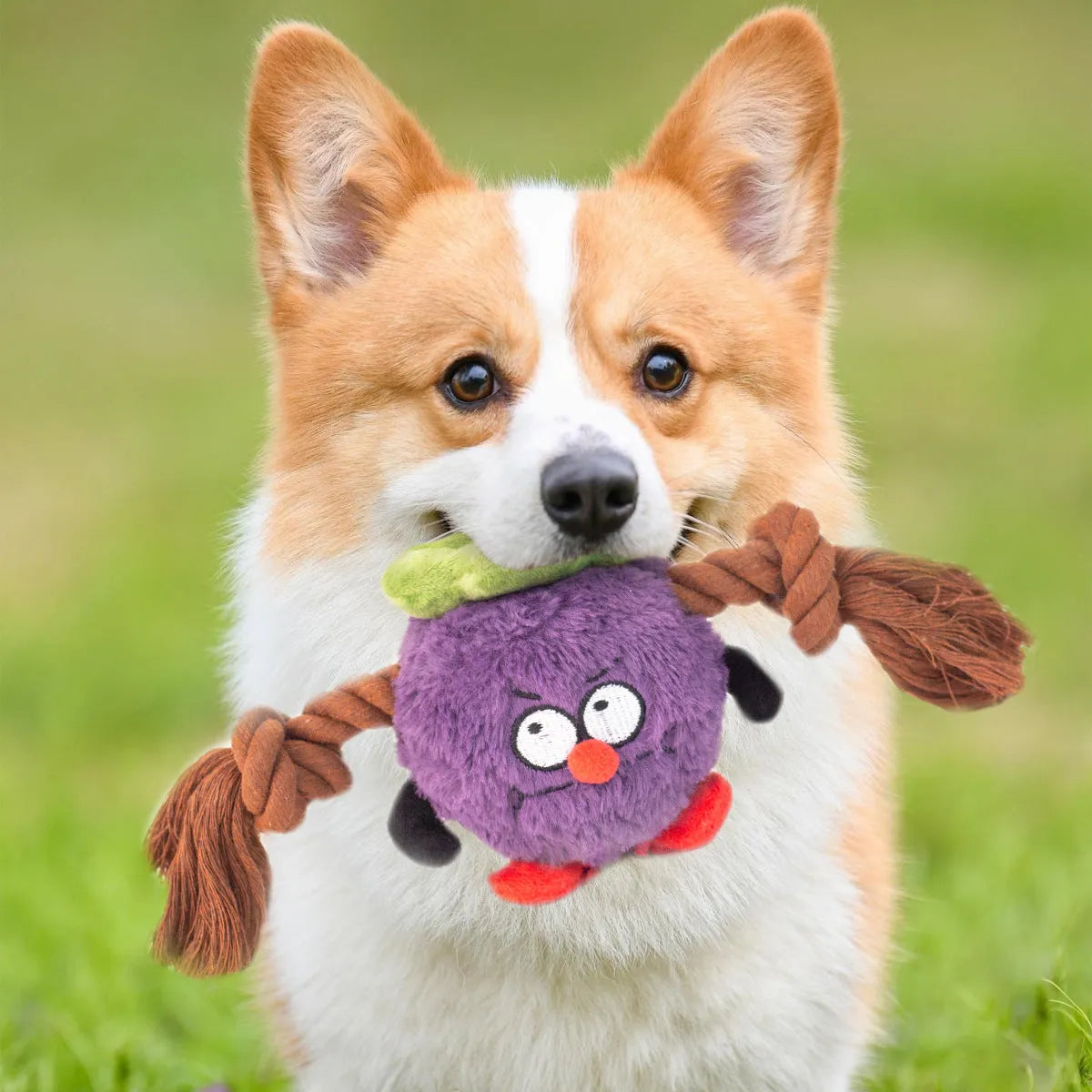 Green and purple interactive dog plush toy with integrated rope knot for tug-of-war games.