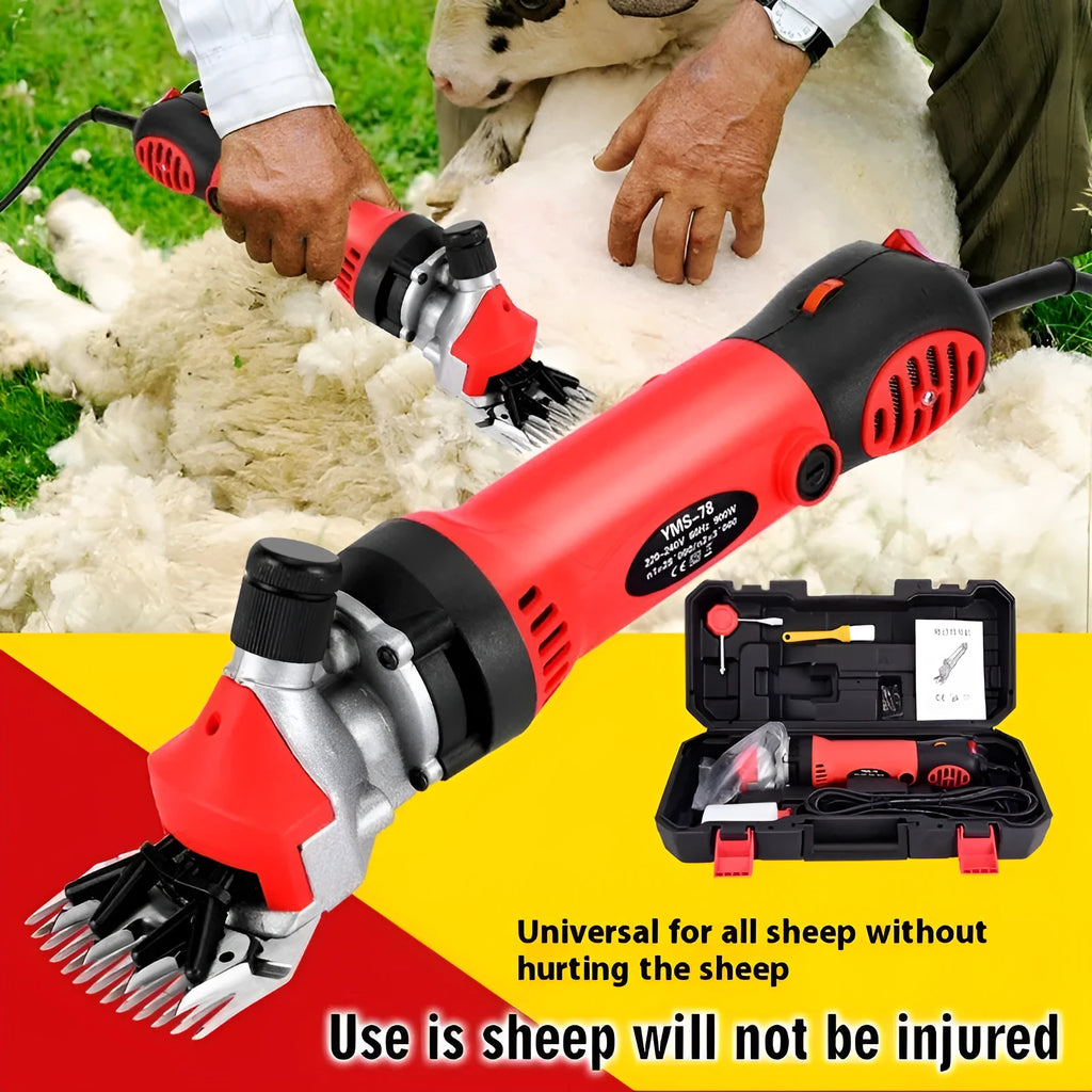 Yellow electric wool shearing tool with 110V plug, multiple blade sets, and maintenance accessories in plastic storage box