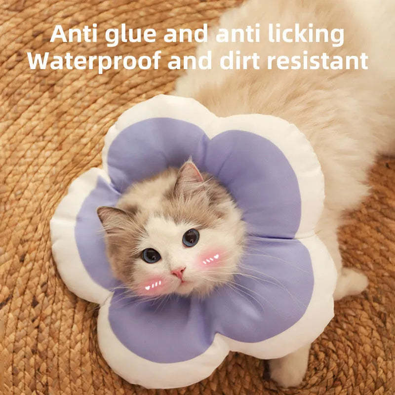 Cotton cat recovery collar with a solar-powered flower, shown in blue on a model, with adjustable fastening.